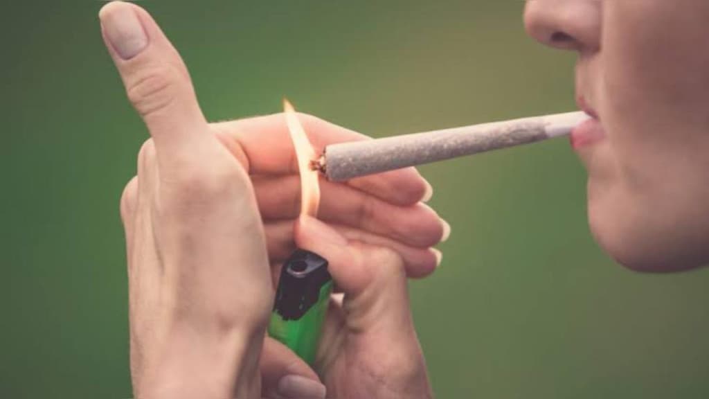 Na contramão do STF, SC aprova lei para multar “maconheiros” e governador garante que irá sancionar