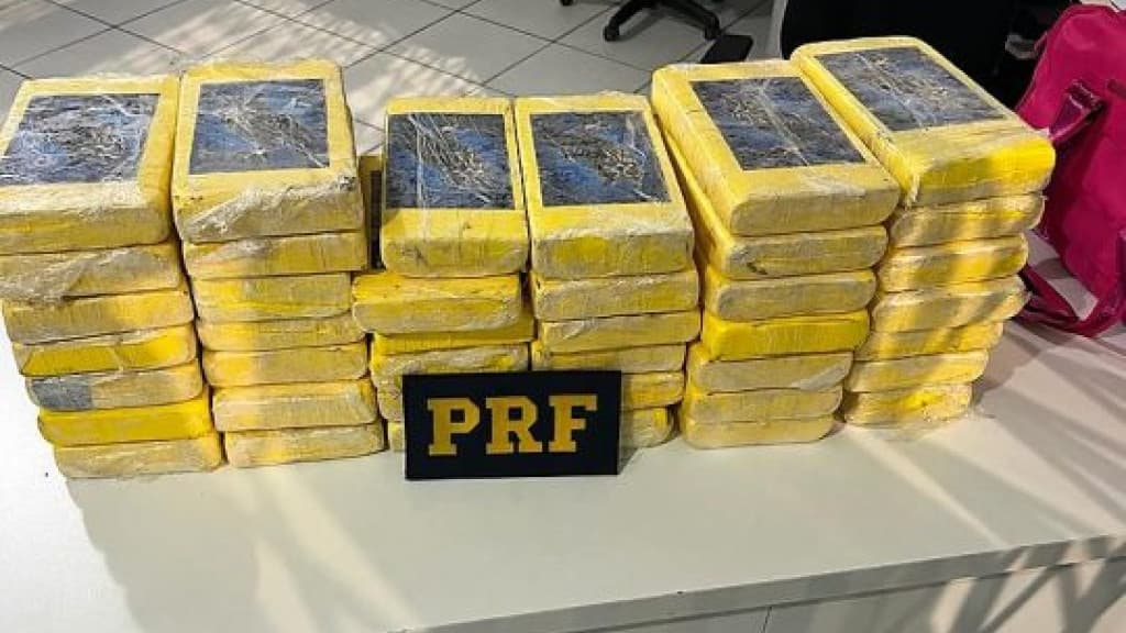 Dupla é detida com R$ 7 milhões em cocaína na BR-282, em SC