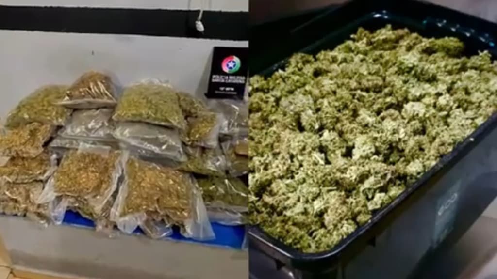 Mulheres que vendiam drogas para a elite de Balneário Camboriú são liberadas