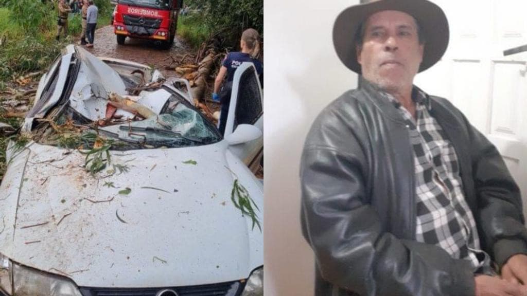 Identificado motorista que morreu após queda de árvore durante tempestade