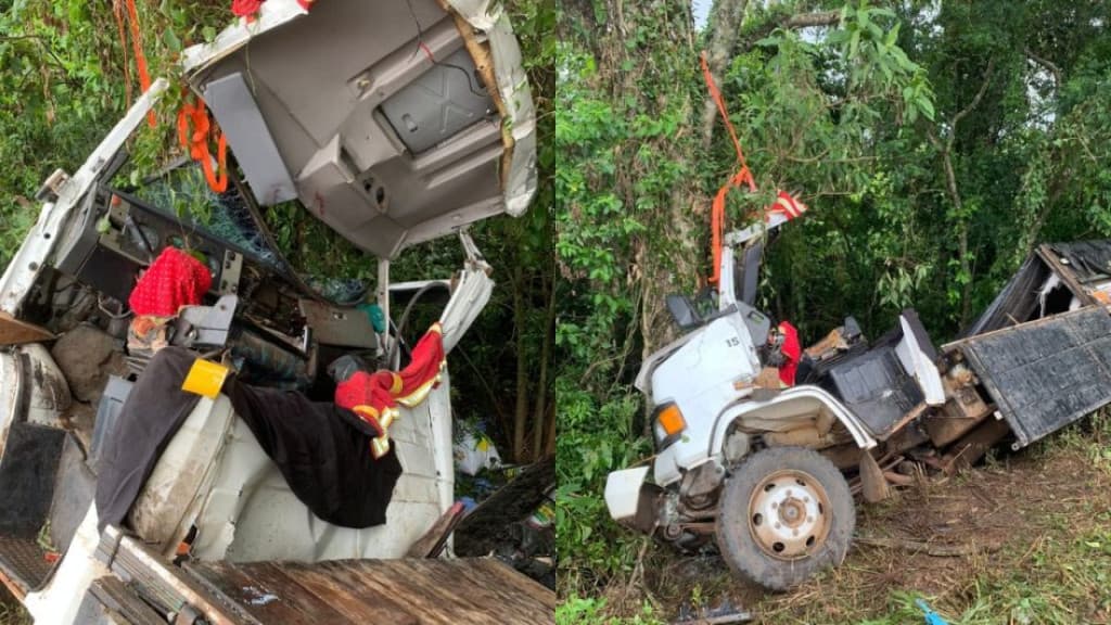 Duas pessoas morrem após caminhão bater em árvore na BR-282