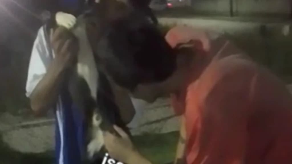 Jovens teriam se aproveitado de dependente químico para vídeo de zoofilia