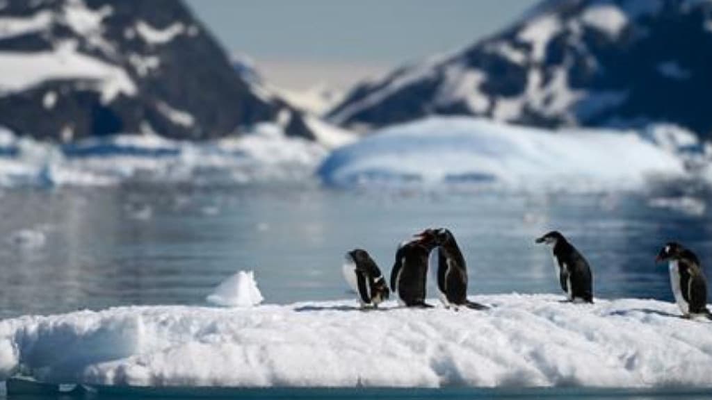 Antártida atinge -82ºC, a menor temperatura do ano no mundo
