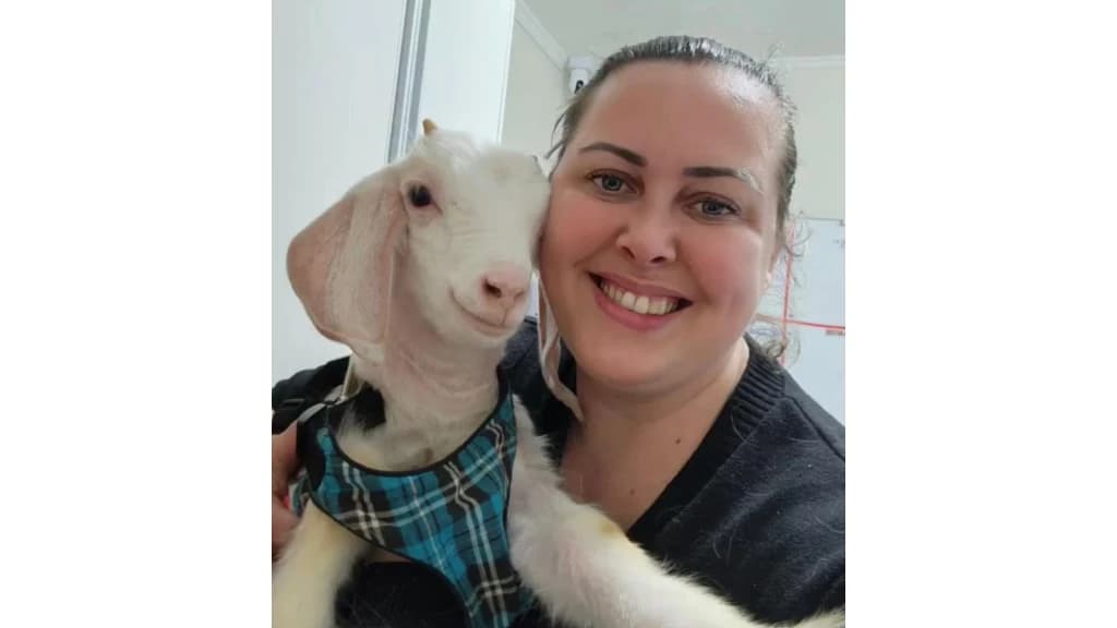 Hospital Veterinário de Tijucas recebe visita inusitada