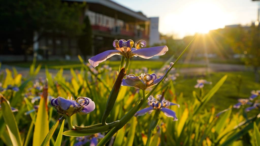 Primavera será de eventos climáticos extremos em SC