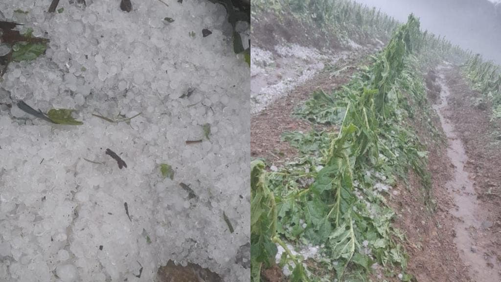 Chuva de granizo causa estragos em residências e lavouras em SC