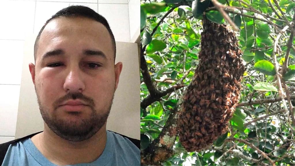 “Consigo nem abrir o olho”, reclama morador de Tijucas