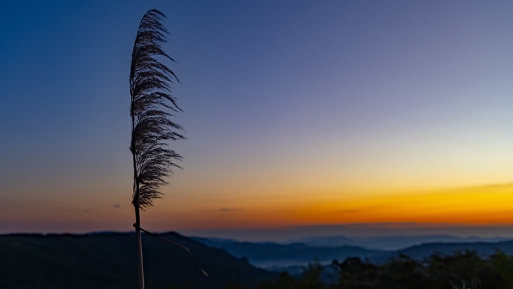 Inverno em Santa Catarina: expectativa de temperaturas amenas e chuvas irregulares