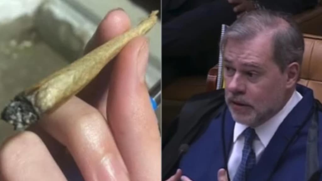 URGENTE: STF forma maioria para que o porte de maconha no Brasil não seja crime