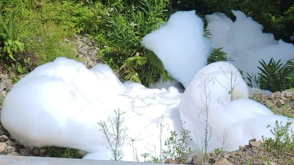 Joinville decreta situação de emergência após acidente com produto químico na SC-418