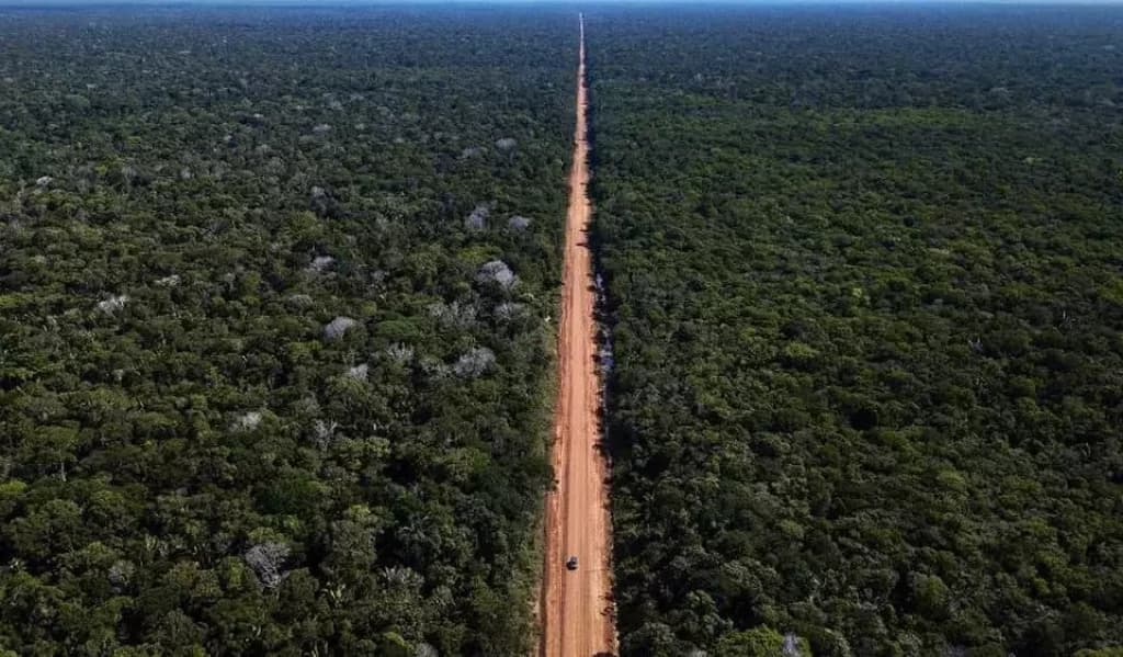 Desmatamento da Amazônia aumentou no governo Bolsonaro?