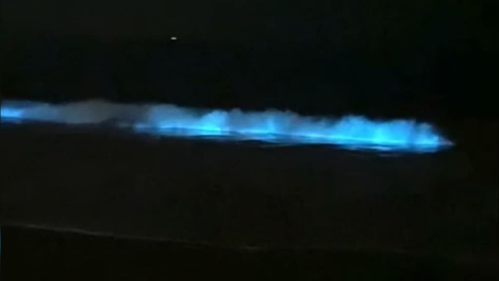 Vídeo: Brilho azul no mar chama atenção em Bombinhas