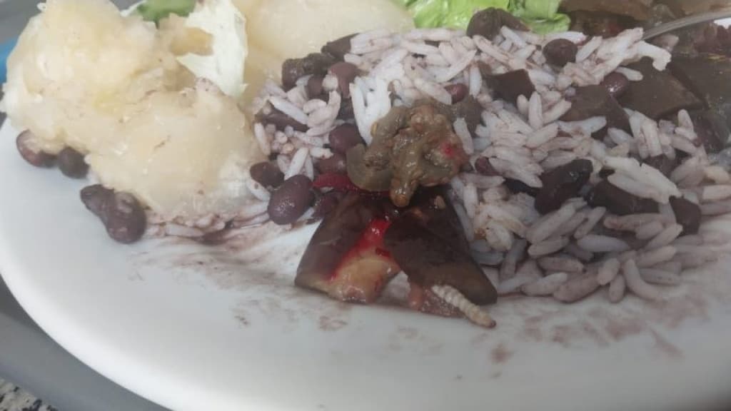 Larva é encontrada em refeição de hospital catarinense