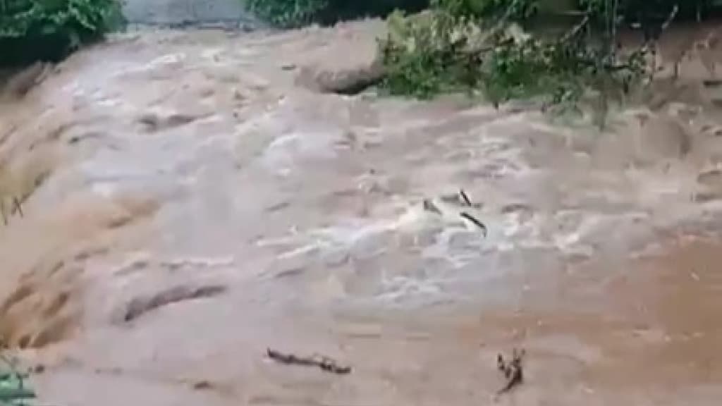Município de SC registra mais de 150 mm de chuva nas últimas 24h