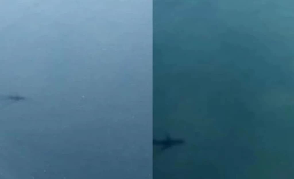 “Baleia” segue avião pelo mar em Florianópolis