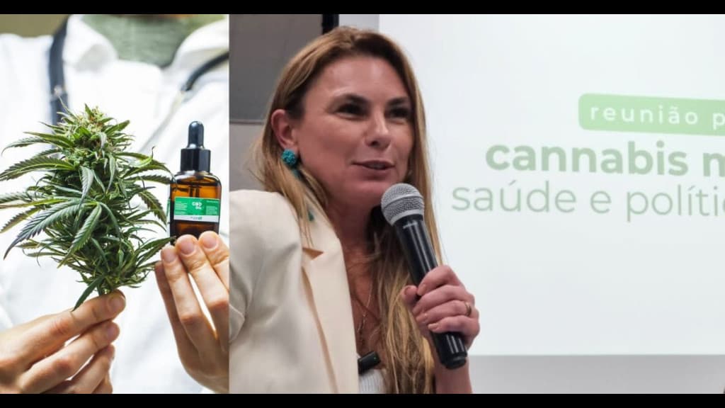 Paulinha quer que SC forneça canabidiol para tratamentos de saúde