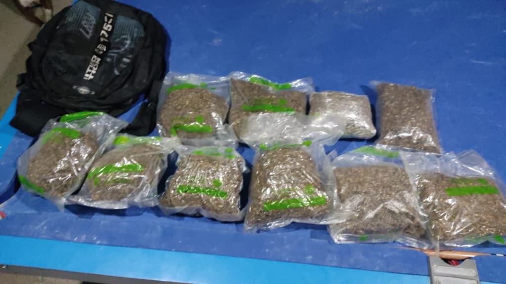 PM prende suspeito de tráfico e apreende “supermaconha” em São João Batista