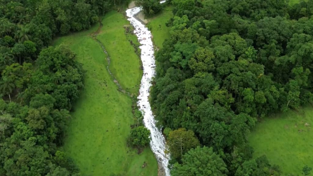 Após desastre ambiental com ácido tóxico, ETA de Joinville reinicia operações