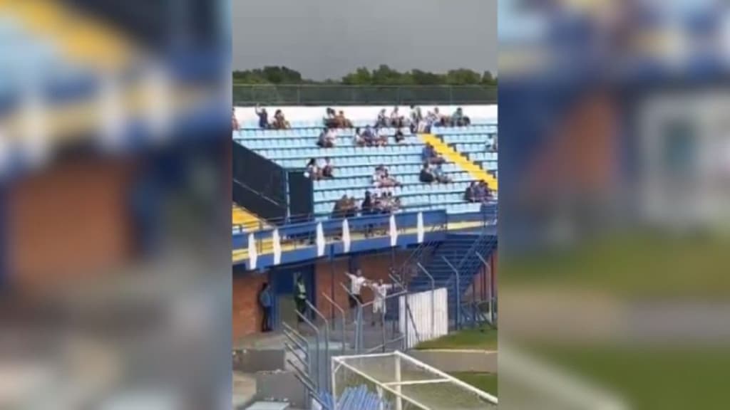 Torcedores do Avaí imitam avião em jogo contra a Chapecoense