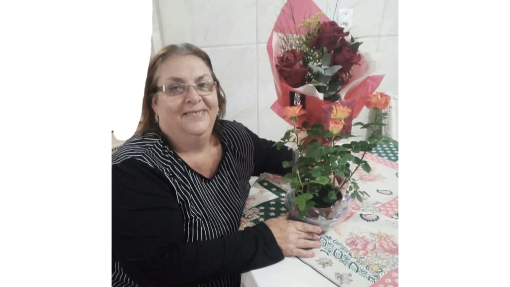 Idosa morre após batida entre carro e caminhão na BR-282