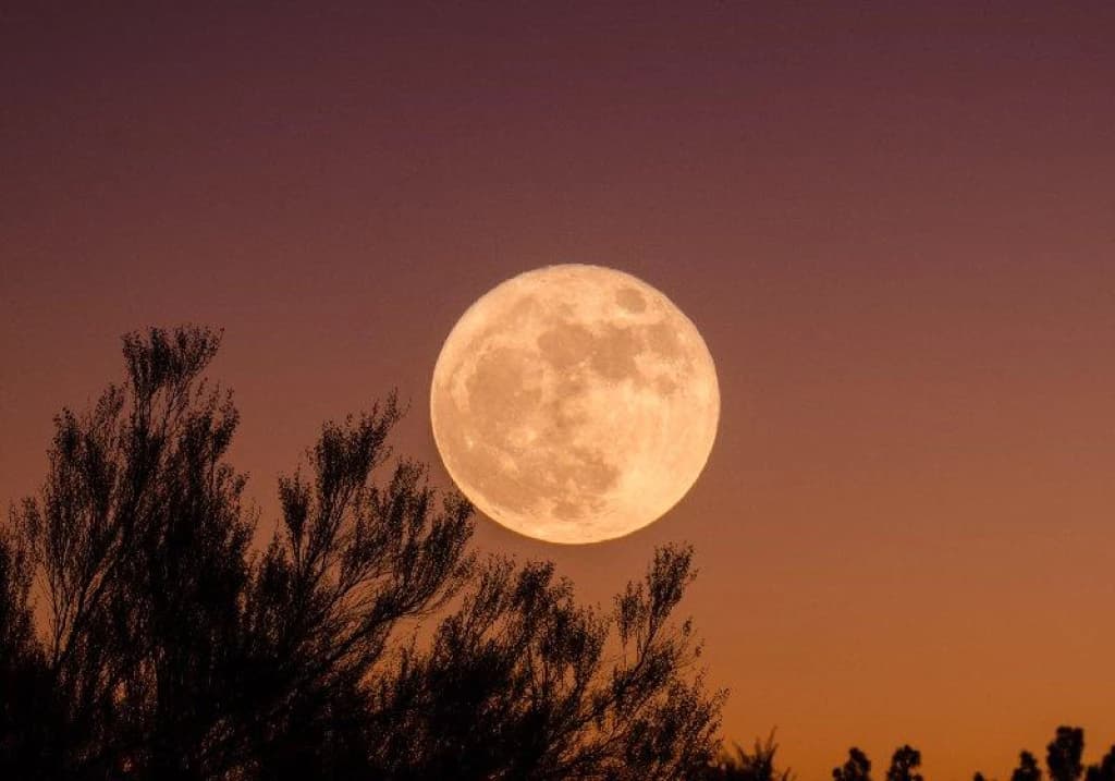 É hoje: última super lua do ano será visível em Santa Catarina