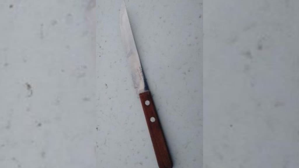 Mulher esfaqueia marido após levar tapa