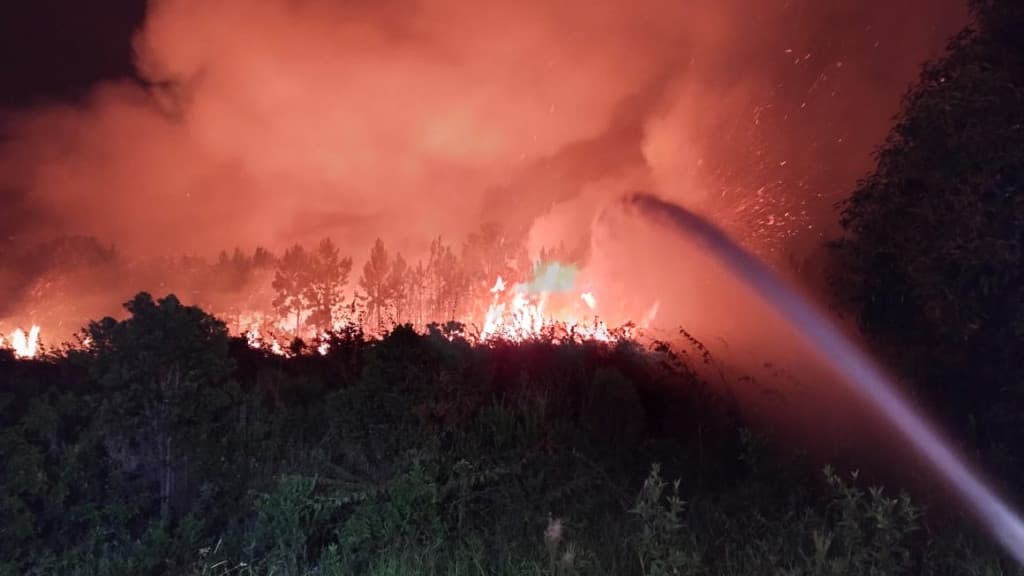 Polícia investiga autoria de incêndio florestal em Palhoça