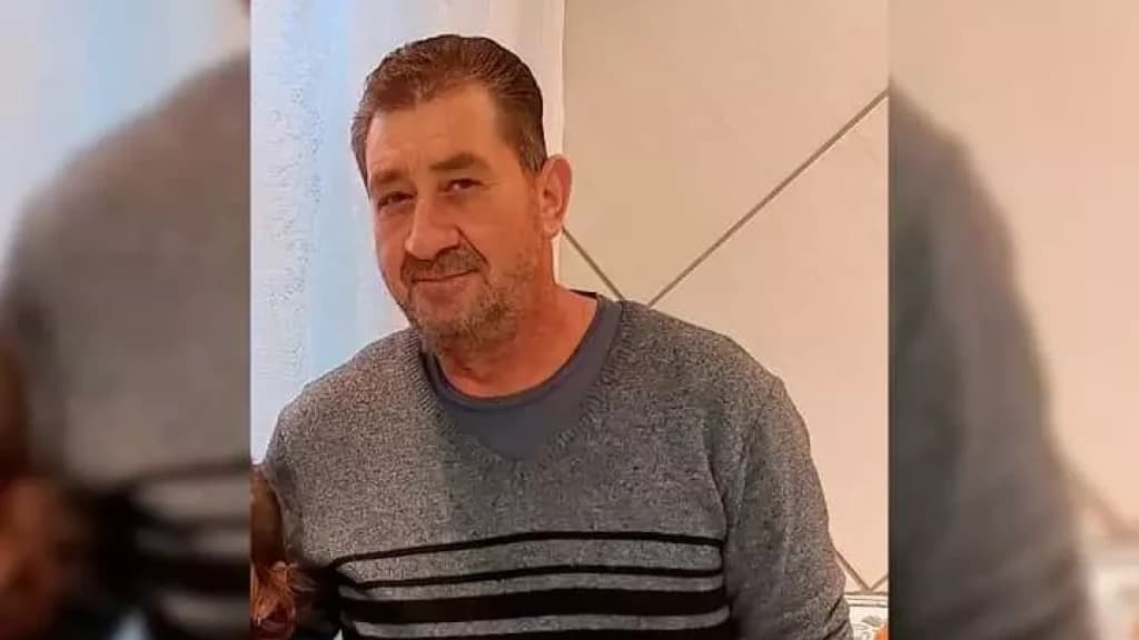 Trabalhador morre após ser atacado por enxame de abelhas