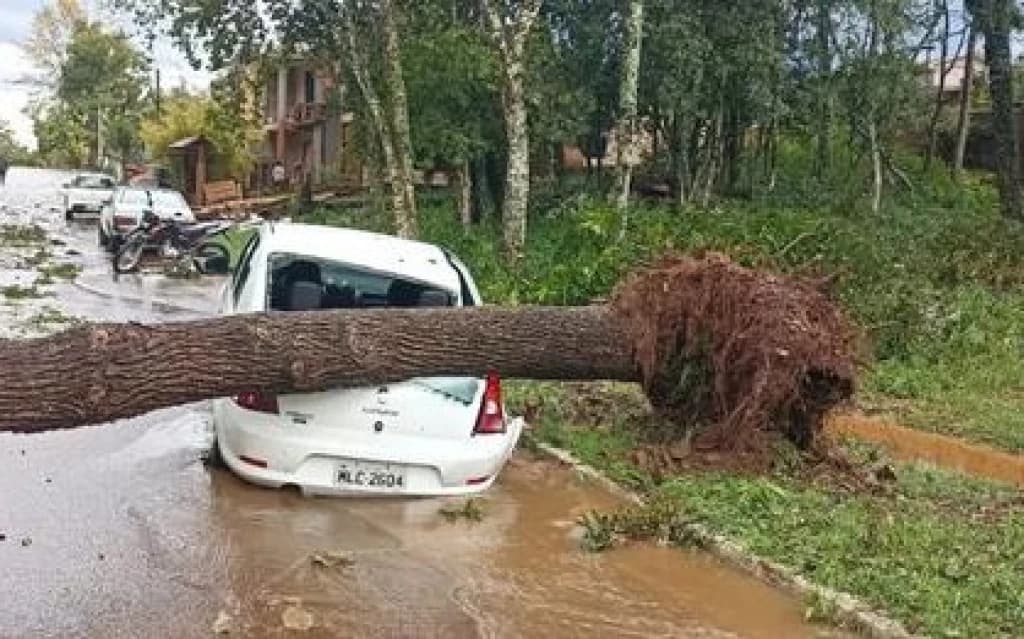 Tornado causa estragos em cidade de Santa Catarina