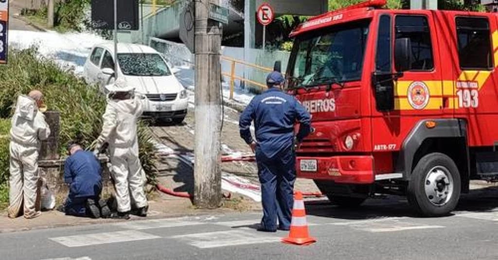 Alunos e zelador de escola são atacados por abelhas em SC