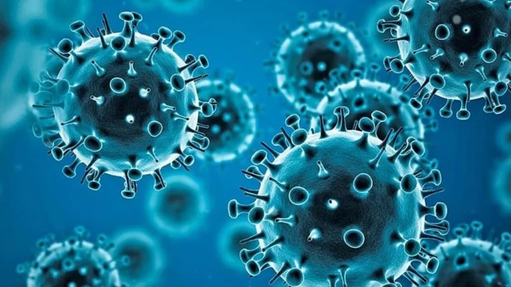 OMS anuncia que Covid-19 não é mais considerada emergência global