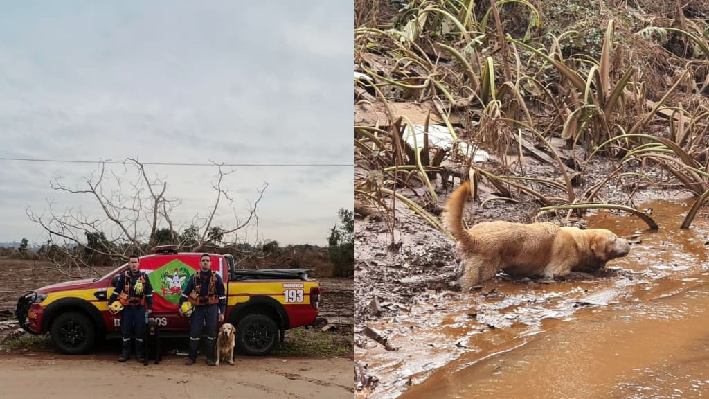 Bombeiros catarinenses continuam buscas por vítimas no RS