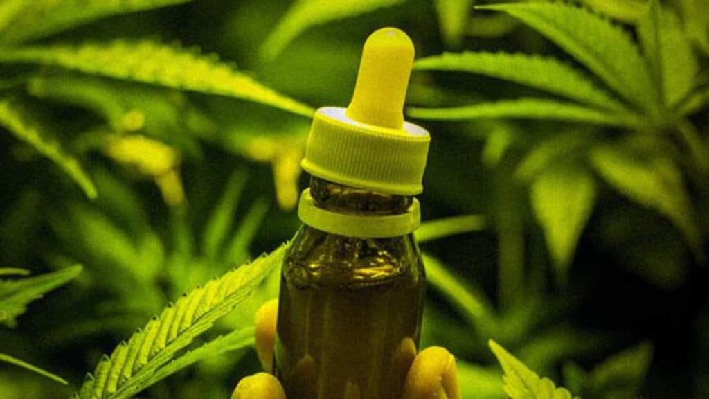 Casal poderá plantar maconha para tratar filho autista em SC