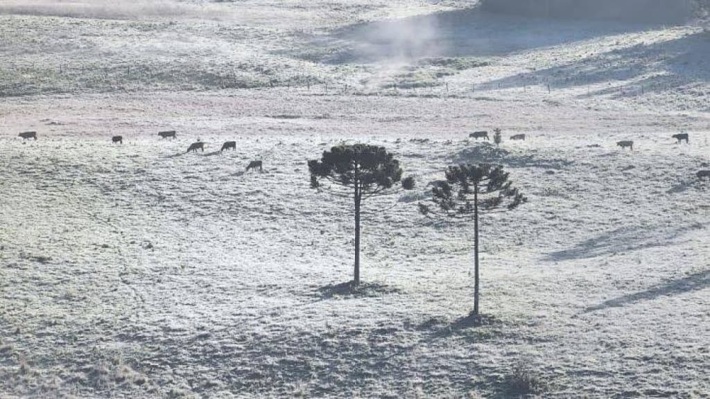Neve em Santa Catarina? Entenda as possibilidades!