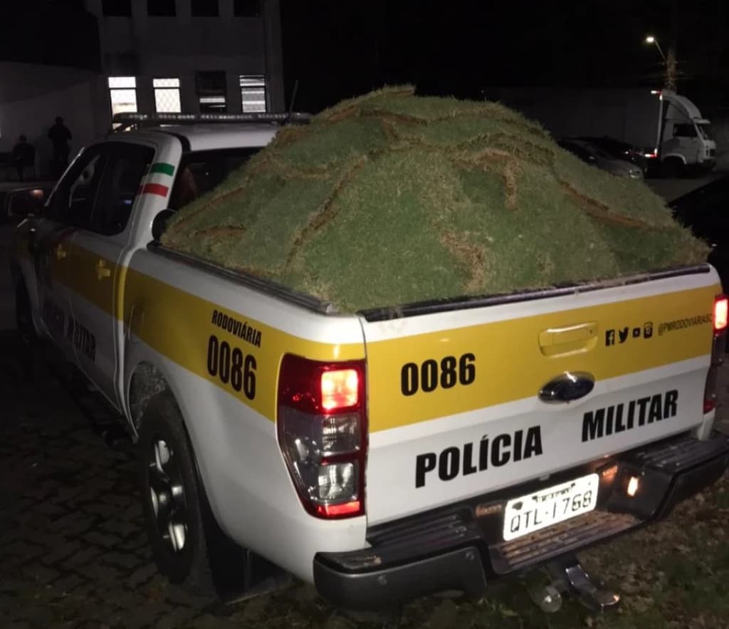 Homem é preso após ser flagrado furtando placas de grama da SC-108