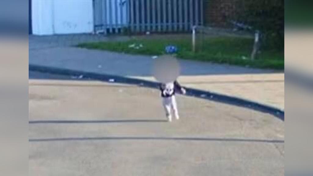 Mãe encontra filha de 4 anos na rua após ser liberada sozinha de creche em Balneário Camboriú