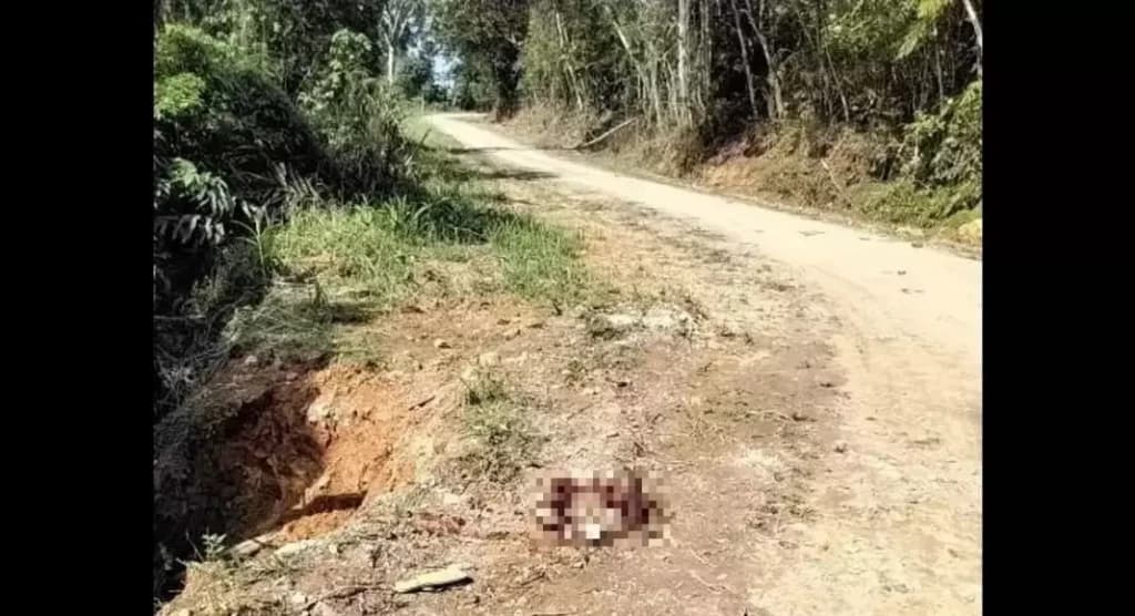 Corpo com marcas de tiro e mãos atadas é encontrado em Santa Catarina