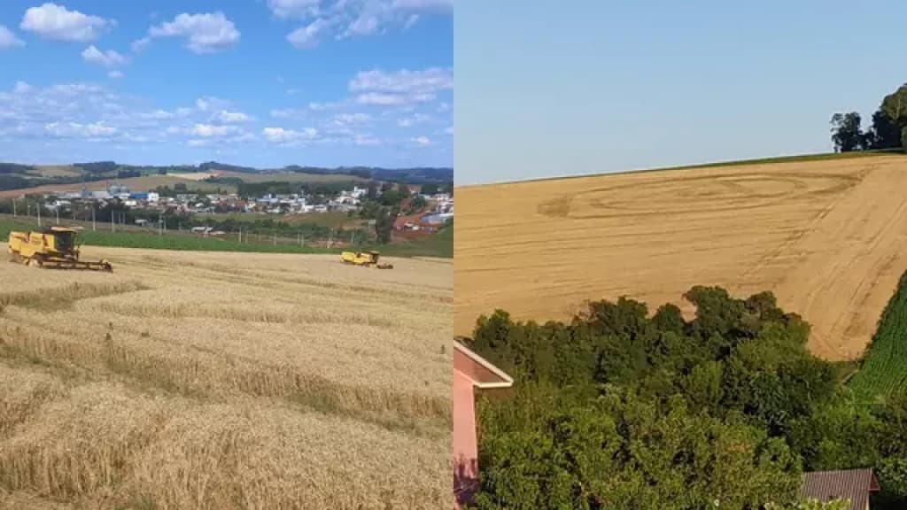 Marca de agroglifo em Ipuaçu segue mesmo após colheita