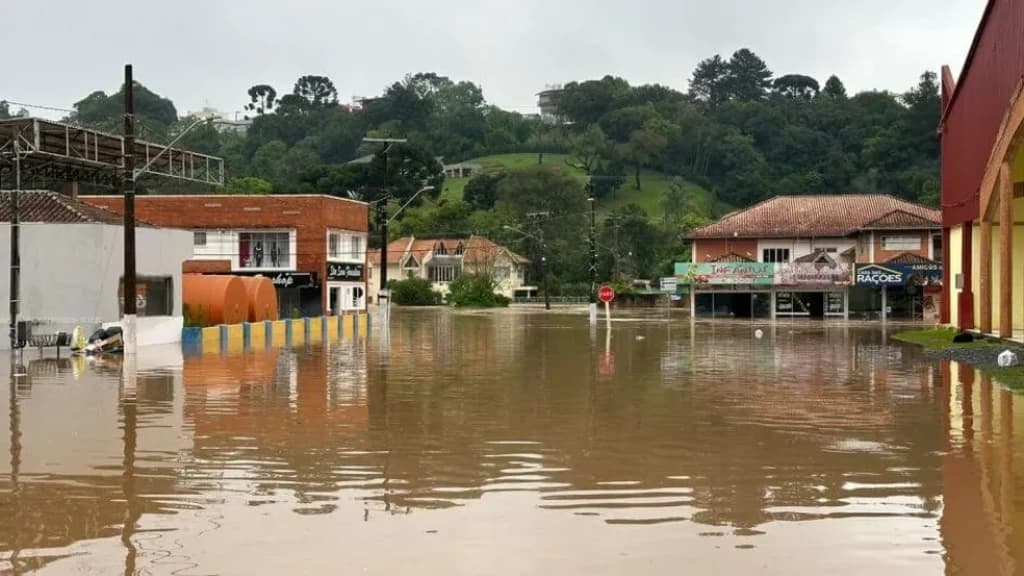 Setor econômico foi o que mais sofreu com enchentes de SC, aponta pesquisa