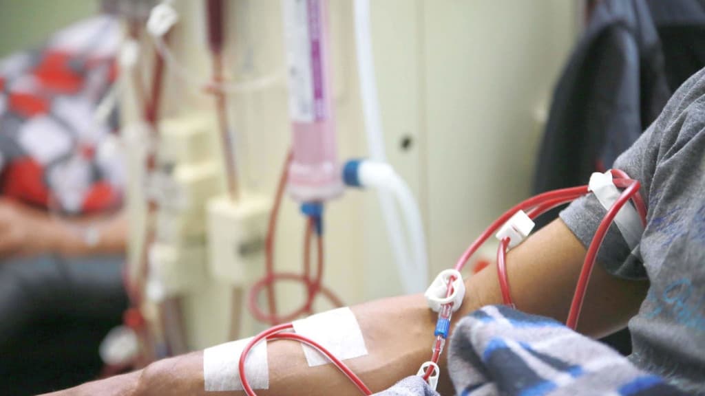 Após enchentes no RS, Santa Catarina oferece hemodiálise imediata a pacientes gaúchos