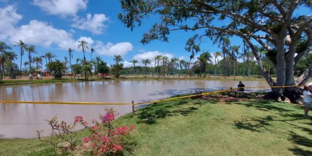 Cadê o jacaré do Bosque da Mata?