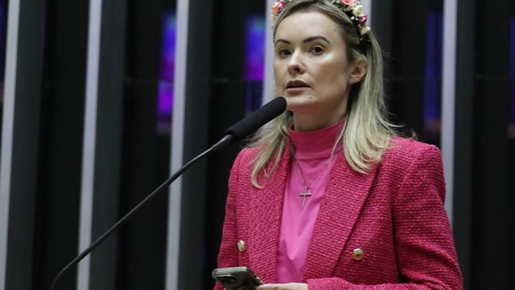 Deputada de SC compartilha receita de sobremesa na Câmara em forma de protesto