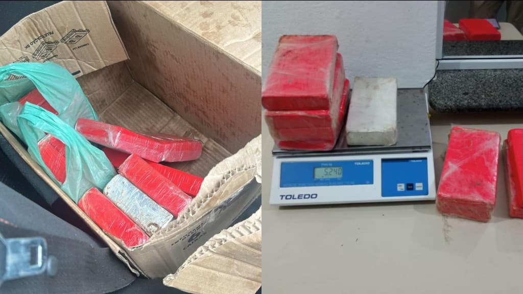 Homem é preso transportando cocaína na BR-101, em Itapema