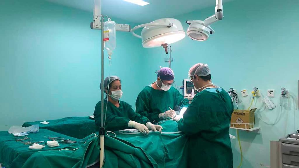 Santa Catarina é líder brasileiro em doações de órgãos há 18 anos