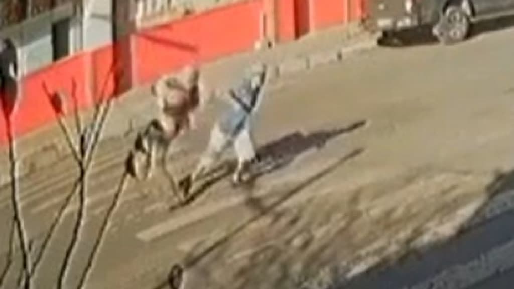 Idoso é brutalmente agredido por homem enquanto atravessava a rua