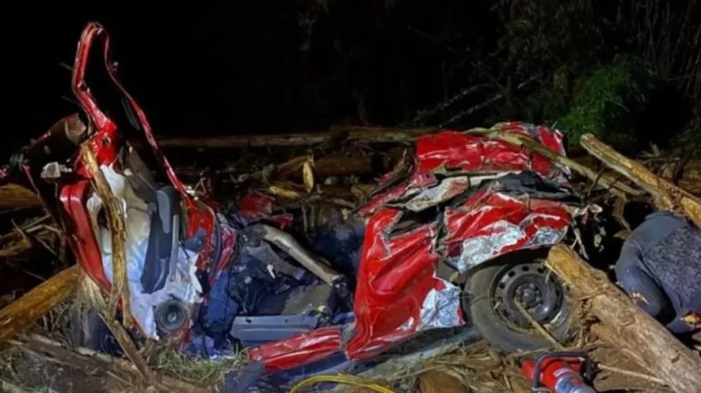 Caminhão carregado com toras tomba em cima de veículos e mata 5 pessoas