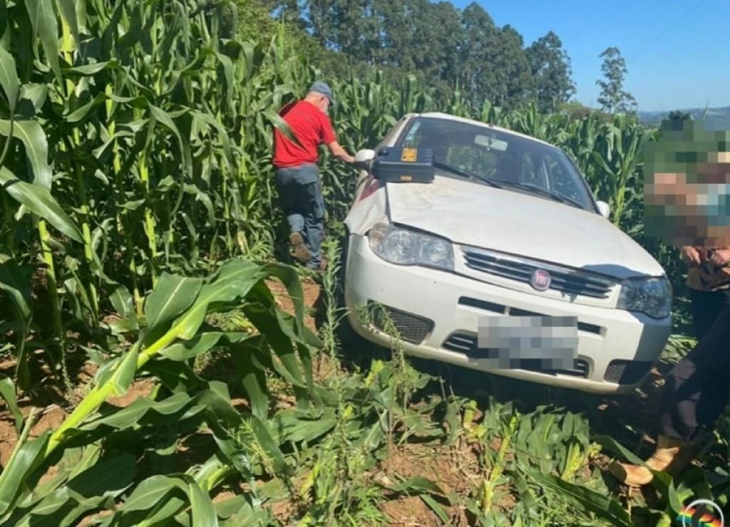 Idoso perde controle do carro e vai parar no meio de um milharal