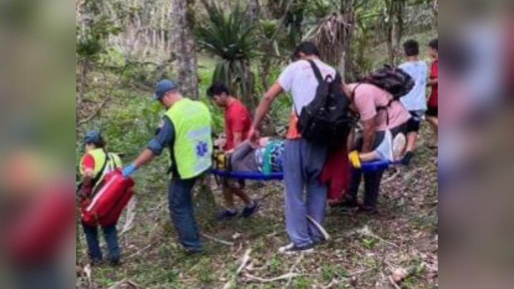 Idosa desaparecida é encontra em área de mata em Porto Belo