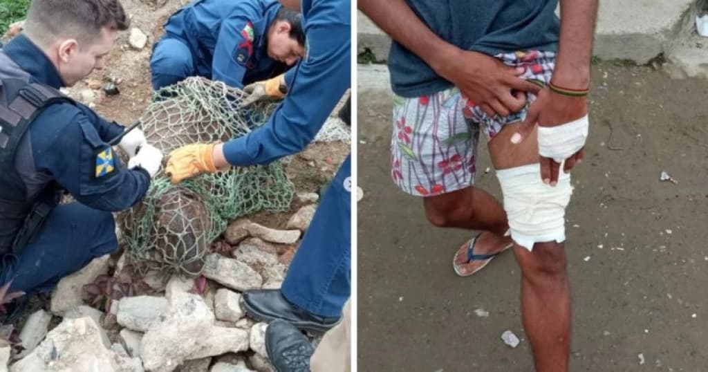 Homem é atacado por capivara em Itajaí