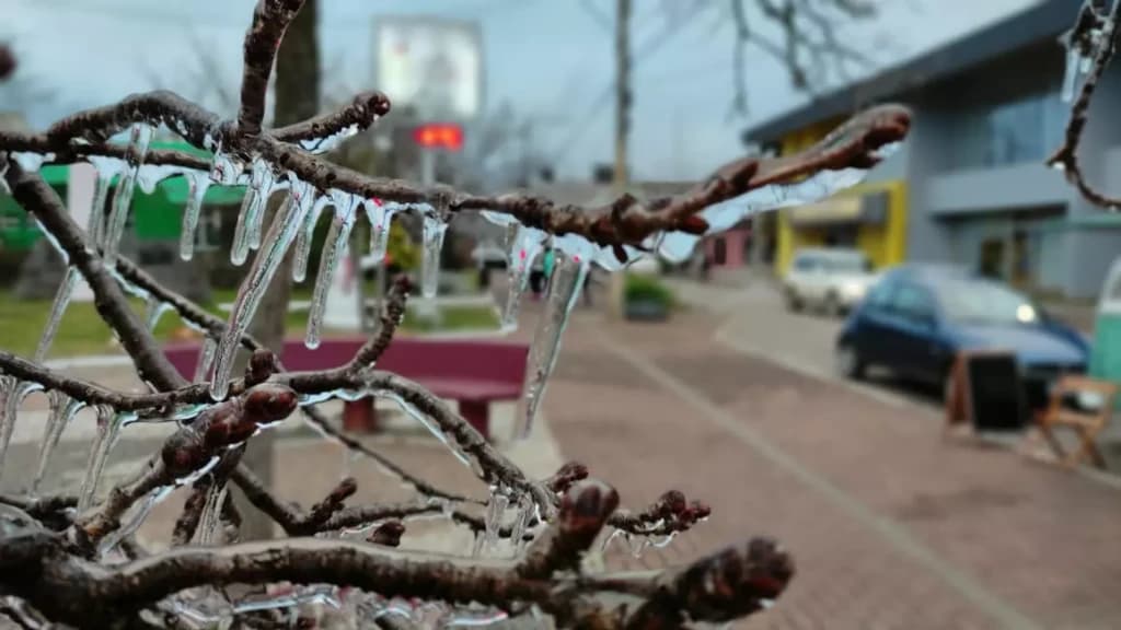 Serra Catarinense registra frio de -2,4°C neste feriado de Corpus Christi